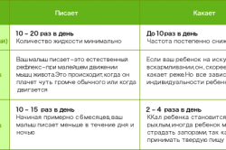 Сколько должен какать взрослый человек в день. Сколько раз ребенок должен ходить в туалет. Сколько раз должен какать новорожденный. Сколько должен какать месячный котенок. Сколько ребенок в 2 месяца должен ходить какать.