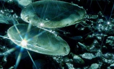 Ископаемый жемчуг