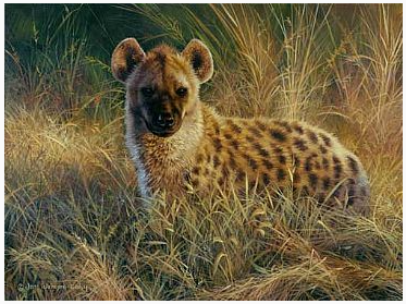 Пятнистая гиена